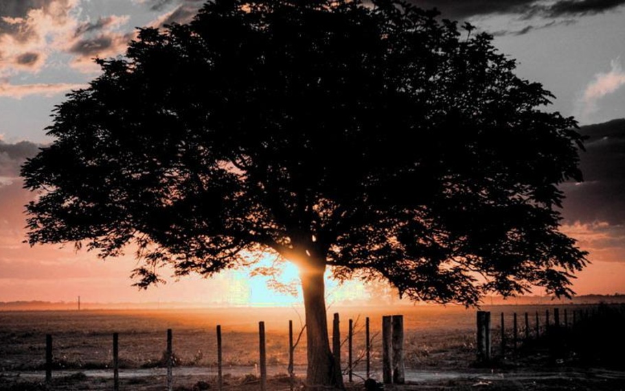 Rainer Maria Rilke - La sera