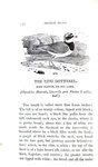 Thomas Bewick - History of british birds - 1797/1804 (prima edizione - con decine di illustrazioni)