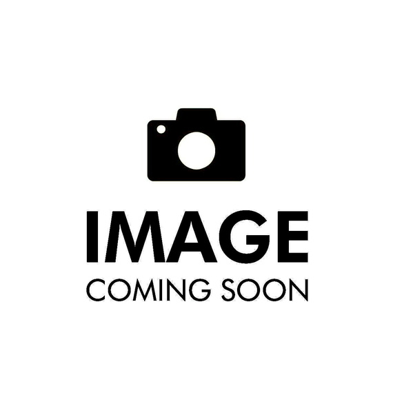 Franz Borghese - Il principe del foro - 2005 (olio su tela - certificato e autentica dell'artista)