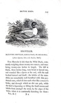 Thomas Bewick - History of british birds - 1797/1804 (prima edizione - con decine di illustrazioni) Thomas Bewick - History of british birds - 1797/1804 (prima edizione - con decine di illustrazioni)