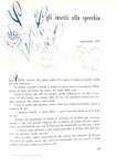 Lewis Carroll - Alice nel regno dello specchio - Torino 1955 (con decine di belle illustrazioni)