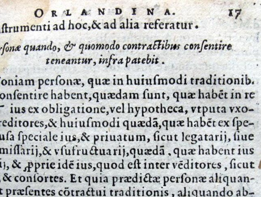 Come conservare correttamente un libro antico: suggerimenti relativi all'infestazione da tarli e simili