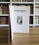 Mario Menghini - La spedizione garibaldina di Sicilia e di Napoli - 1907 (prima edizione - figurato)