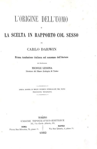 Darwin - L?origine dell'uomo e la scelta in rapporto col sesso - Torino 1882 (con 76 xilografie)