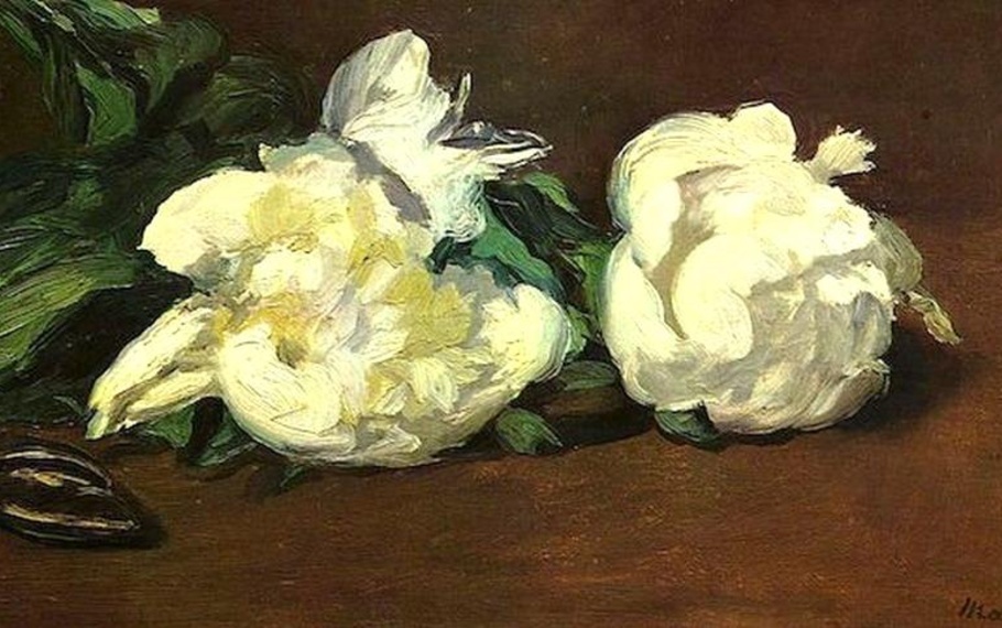 Attilio Bertolucci - La rosa bianca