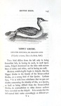 Thomas Bewick - History of british birds - 1797/1804 (prima edizione - con decine di illustrazioni)