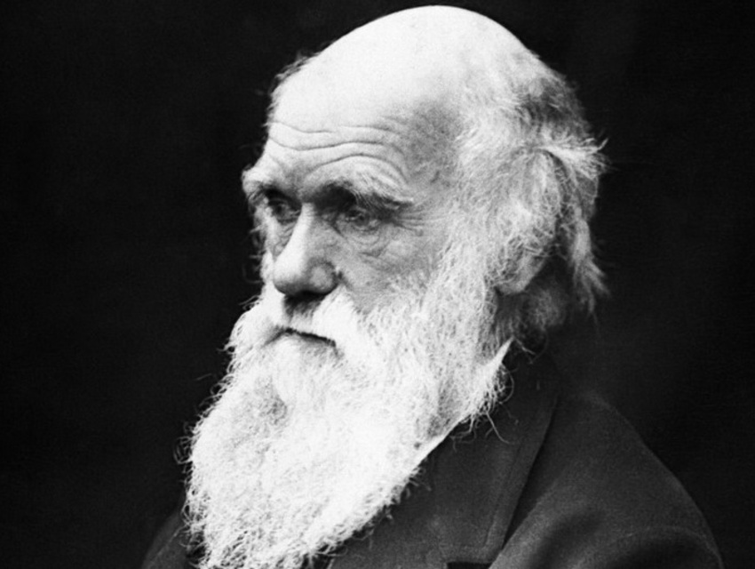 Charles Darwin - Se vivessi un'altra volta