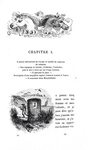 Jonathan Swift - Voyages de Gulliver illustrée par Grandville - Paris 1838 (rara prima edizione) Jonathan Swift - Voyages de Gulliver illustrée par Grandville - Paris 1838 (rara prima edizione)