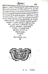 Francesco Birago - Consigli cavallereschi - Milano, Bidelli 1623 (prima edizione)