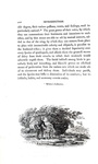 Thomas Bewick - History of british birds - 1797/1804 (prima edizione - con decine di illustrazioni) Thomas Bewick - History of british birds - 1797/1804 (prima edizione - con decine di illustrazioni)