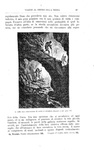 Jules Verne - Viaggio al centro della terra. Unica traduzione autorizzata - Sonzogno 1887 (figurato) Jules Verne - Viaggio al centro della terra. Unica traduzione autorizzata - Sonzogno 1887 (figurato)
