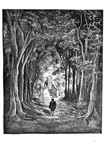 Gustave Doré - Il libro delle fate di G. Perrault illustrato - Milano 1884 (con 40 belle tavole) Gustave Doré - Il libro delle fate di G. Perrault illustrato - Milano 1884 (con 40 belle tavole)