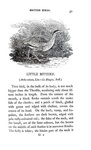 Thomas Bewick - History of british birds - 1797/1804 (prima edizione - con decine di illustrazioni) Thomas Bewick - History of british birds - 1797/1804 (prima edizione - con decine di illustrazioni)
