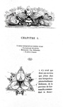 Jonathan Swift - Voyages de Gulliver illustrée par Grandville - Paris 1838 (rara prima edizione) Jonathan Swift - Voyages de Gulliver illustrée par Grandville - Paris 1838 (rara prima edizione)