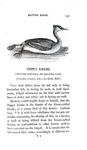 Thomas Bewick - History of british birds - 1797/1804 (prima edizione - con decine di illustrazioni) Thomas Bewick - History of british birds - 1797/1804 (prima edizione - con decine di illustrazioni)