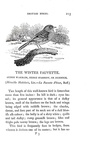 Thomas Bewick - History of british birds - 1797/1804 (prima edizione - con decine di illustrazioni) Thomas Bewick - History of british birds - 1797/1804 (prima edizione - con decine di illustrazioni)