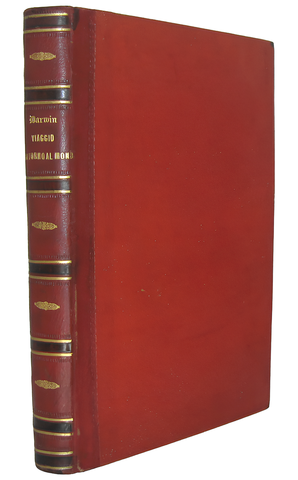 Charles Darwin - Viaggio di un naturalista intorno al mondo - Torino 1872 (prima edizione italiana) Charles Darwin - Viaggio di un naturalista intorno al mondo - Torino 1872 (prima edizione italiana)