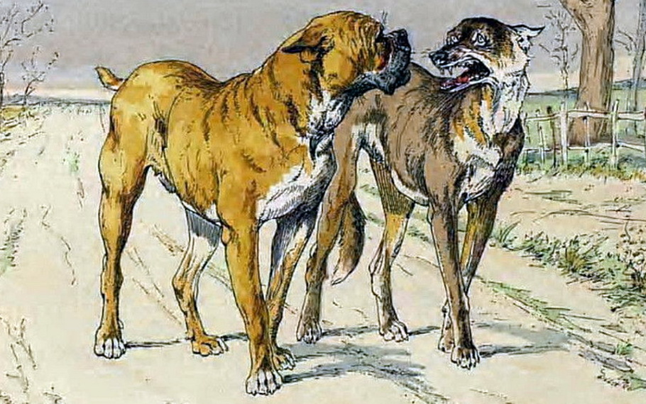 Esopo - Il lupo e il cane