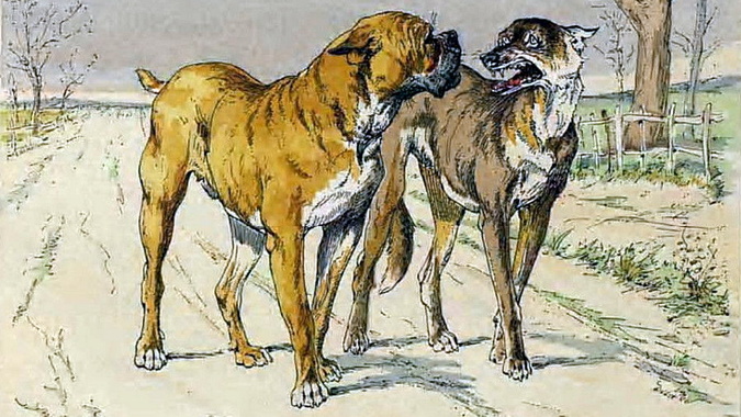 Esopo - Il lupo e il cane