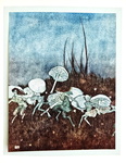 William Shakespeare - La tempesta. Con 40 illustrazioni di Edmondo Dulac - 1913 (prima edizione) William Shakespeare - La tempesta. Con 40 illustrazioni di Edmondo Dulac - 1913 (prima edizione)