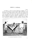 Vittorio Tedesco Zammarano - Alle sorgenti del Nilo Azzurro - 1922 (208 illustrazioni e 5 cartine)