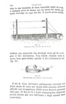 Garelli - Manuale di viticoltura, 1872 e La coltivazione della vite in Italia, 1870 (prime edizioni)
