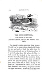 Thomas Bewick - History of british birds - 1797/1804 (prima edizione - con decine di illustrazioni) Thomas Bewick - History of british birds - 1797/1804 (prima edizione - con decine di illustrazioni)