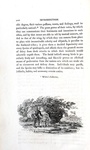 Thomas Bewick - History of british birds - 1797/1804 (prima edizione - con decine di illustrazioni)