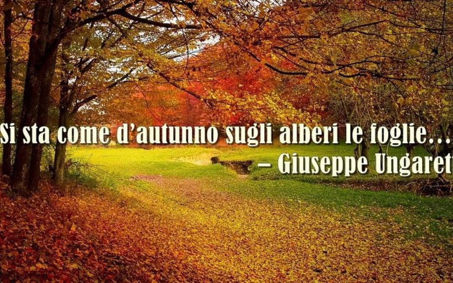 Perch in questi giorni "si sta come d?autunno sugli alberi le foglie"