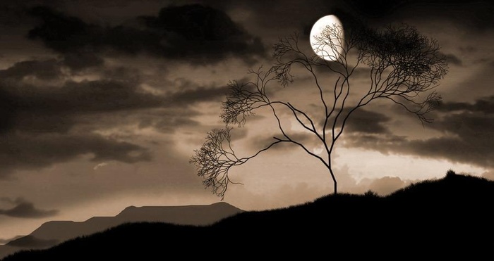 Fernando Pessoa - Penso a te nel silenzio della notte