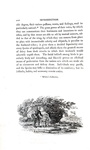 Thomas Bewick - History of british birds - 1797/1804 (prima edizione - con decine di illustrazioni)