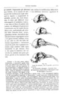 Charles Darwin - Variazione degli animali e delle piante - Torino 1876 (prima edizione italiana) Charles Darwin - Variazione degli animali e delle piante - Torino 1876 (prima edizione italiana)