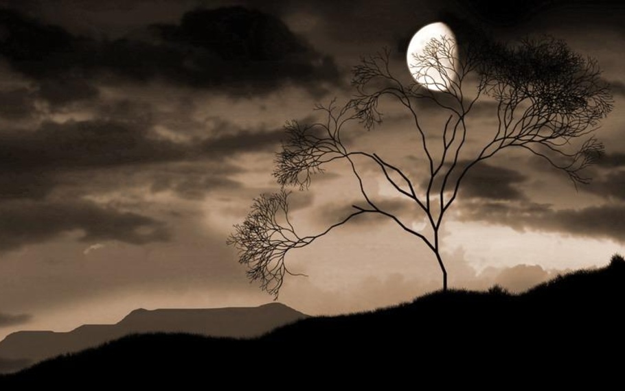 Fernando Pessoa - Penso a te nel silenzio della notte