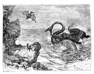 Jules Verne - Viaggio al centro della terra. Illustrato con 55 incisioni - Tipografia Lombarda 1874 Jules Verne - Viaggio al centro della terra. Illustrato con 55 incisioni - Tipografia Lombarda 1874
