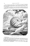 Jules Verne - Novelle fantastiche - Milano, Treves 1874 (prima edizione italiana - con molte figure)