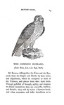 Thomas Bewick - History of british birds - 1797/1804 (prima edizione - con decine di illustrazioni) Thomas Bewick - History of british birds - 1797/1804 (prima edizione - con decine di illustrazioni)