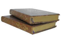 Jonathan Swift - Voyages de Gulliver illustrée par Grandville - Paris 1838 (rara prima edizione) Jonathan Swift - Voyages de Gulliver illustrée par Grandville - Paris 1838 (rara prima edizione)