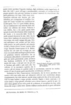 Charles Darwin - Variazione degli animali e delle piante - Torino 1876 (prima edizione italiana) Charles Darwin - Variazione degli animali e delle piante - Torino 1876 (prima edizione italiana)