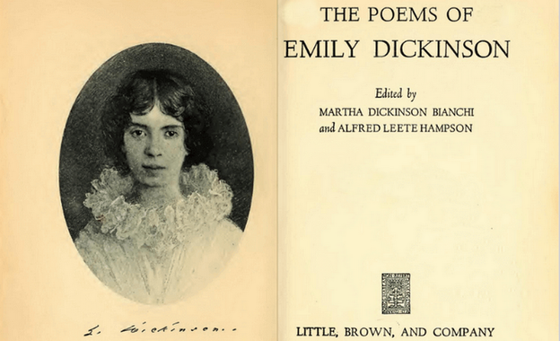 Emily Dickinson - Il mistero del dolore