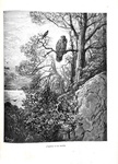 La Fontaine - Le favole - 1886 (prima edizione italiana - decine di illustrazioni di Gustave Doré) La Fontaine - Le favole - 1886 (prima edizione italiana - decine di illustrazioni di Gustave Doré)