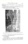 Jules Verne - Viaggio al centro della terra. Unica traduzione autorizzata - Sonzogno 1887 (figurato) Jules Verne - Viaggio al centro della terra. Unica traduzione autorizzata - Sonzogno 1887 (figurato)