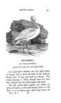 Thomas Bewick - History of british birds - 1797/1804 (prima edizione - con decine di illustrazioni) Thomas Bewick - History of british birds - 1797/1804 (prima edizione - con decine di illustrazioni)
