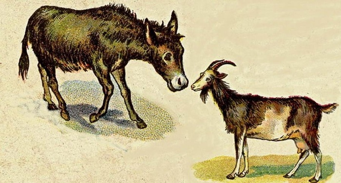 Esopo - La capra e l'asino