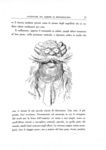 Rudolf Erich Raspe - Avventure del barone di Munchausen illustrate da Gustave Doré - inizi Novecento Rudolf Erich Raspe - Avventure del barone di Munchausen illustrate da Gustave Doré - inizi Novecento
