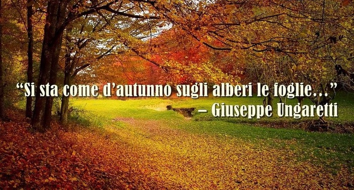 Perch in questi giorni "si sta come d?autunno sugli alberi le foglie"