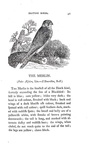 Thomas Bewick - History of british birds - 1797/1804 (prima edizione - con decine di illustrazioni) Thomas Bewick - History of british birds - 1797/1804 (prima edizione - con decine di illustrazioni)