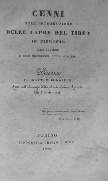 Mathieu Bonafous - Capre del Tibet in Piemonte